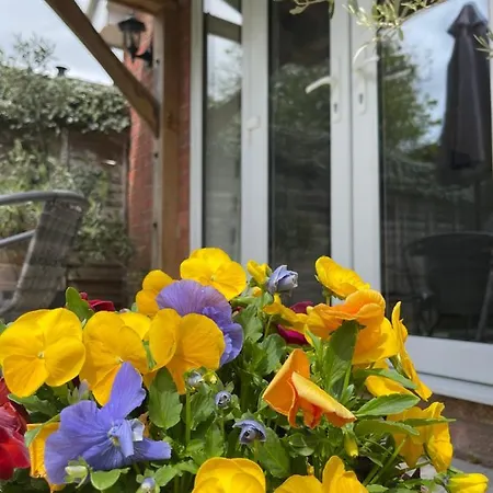 Chestnut Cottage East Bergholt Exterior photo